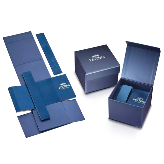 orologio multifunzione uomo Festina Retro Codice: F16822/3